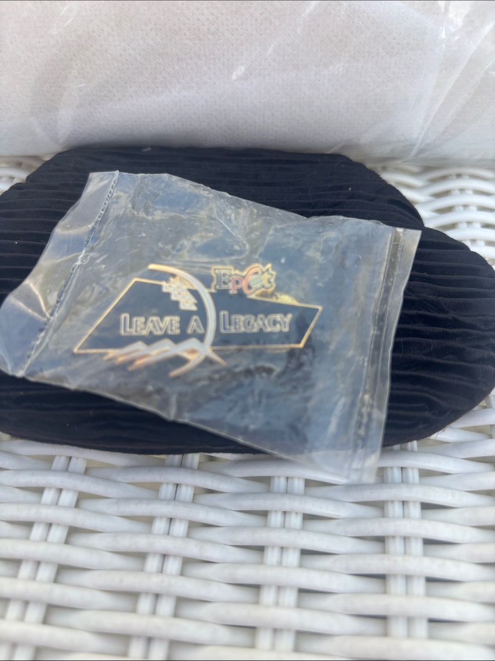 Vintage dated 2000 Disney Leave A Legacy Enamel Pin in Blue and Gold